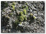 IMG-20150824-WA0014